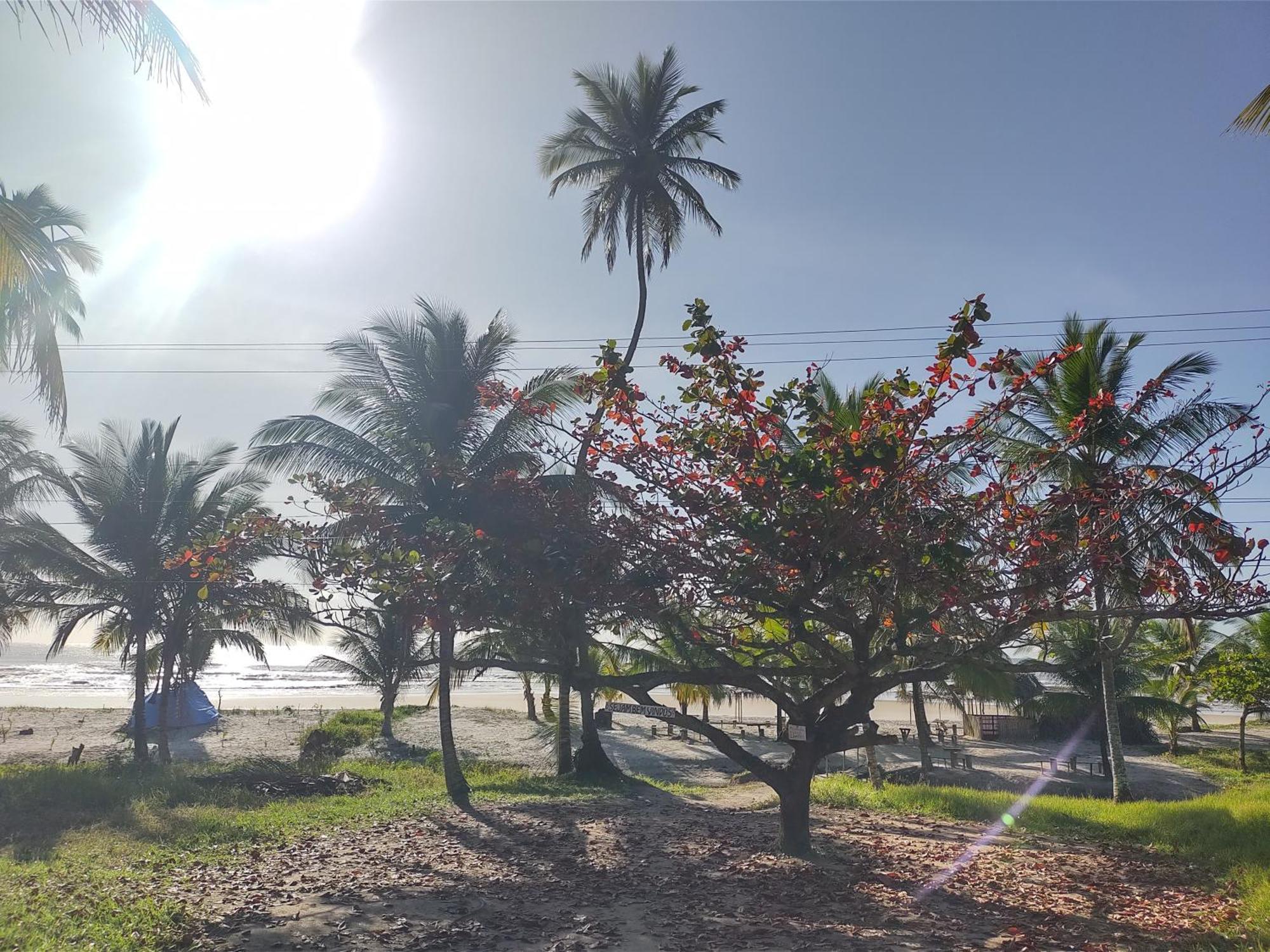 Casa Aroeira Pousada Ilhéus Esterno foto