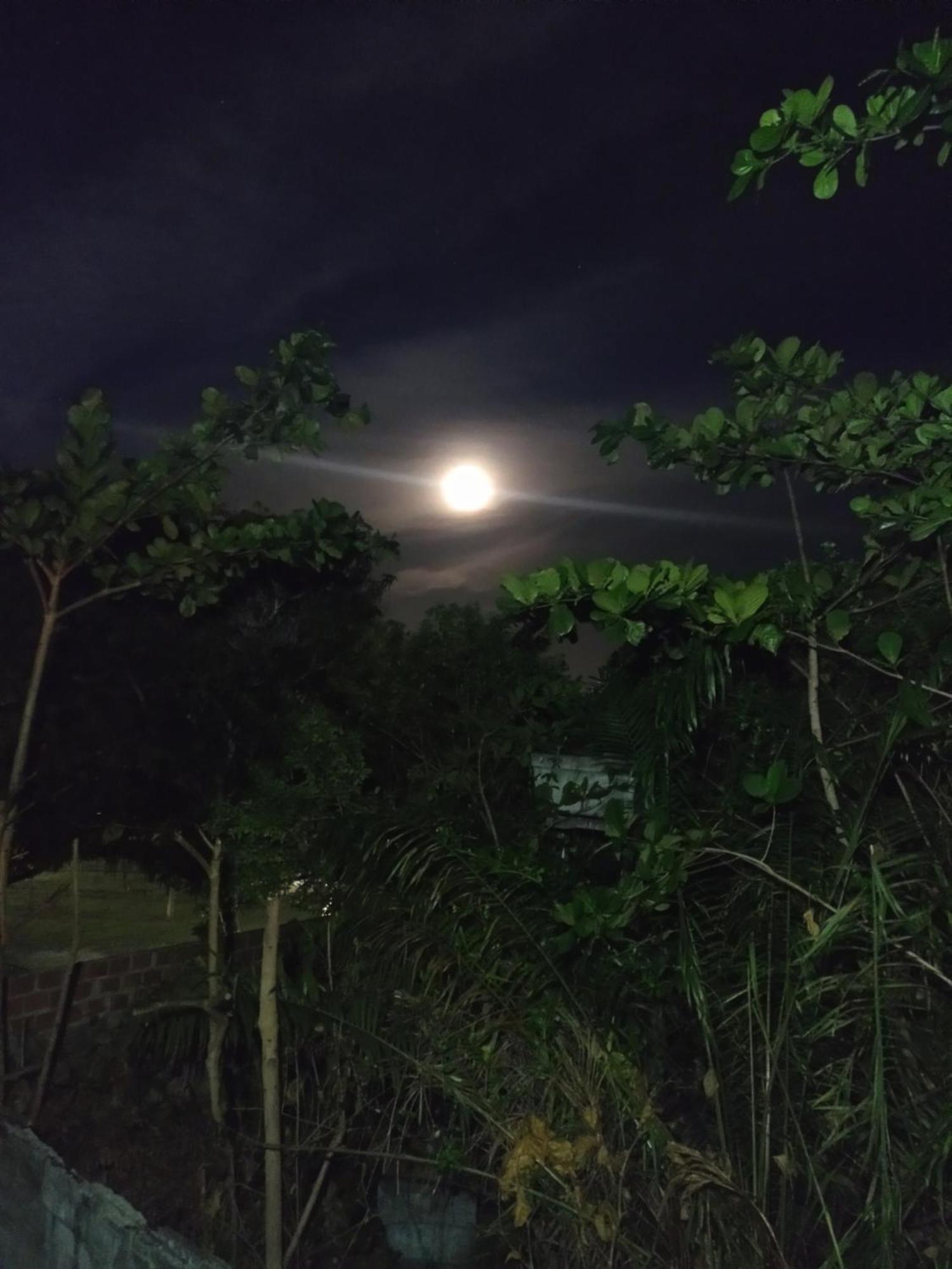 Casa Aroeira Pousada Ilhéus Esterno foto